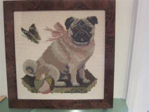 pug